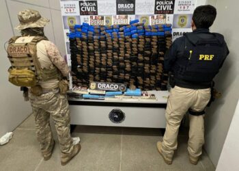 Polícias Civil e Rodoviária Federal apreendem meia tonelada de drogas na Paraíba