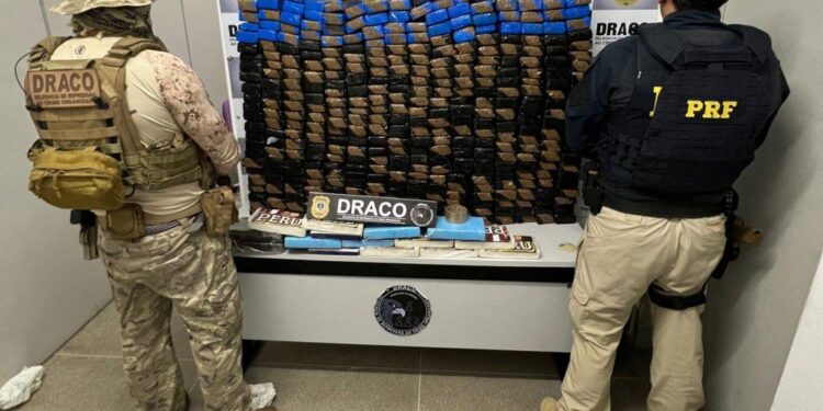 Polícias Civil e Rodoviária Federal apreendem meia tonelada de drogas na Paraíba